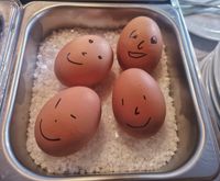 weingut albert fam cramer eier